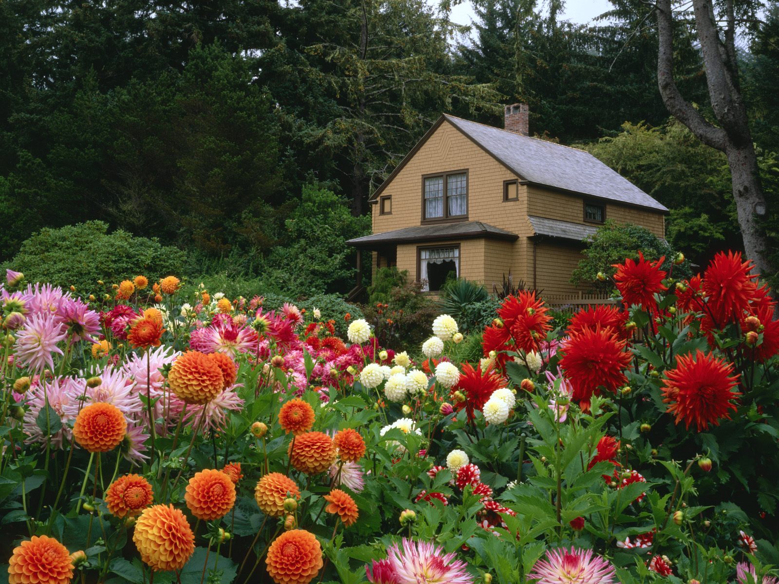 Garden House Oregon840506583 - Garden House Oregon - Polynesia, Oregon, House, Garden